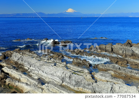 [Kanagawa] The sunny Arasaki coast and Mt. Fuji 77087534