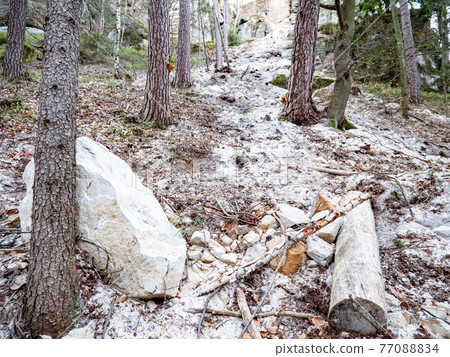 Collapsed rocky boulders fall down from sandstone rocks and landslide blocked forest path 77088834