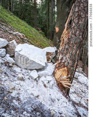 Collapsed rocky boulders fall down from sandstone rocks and landslide blocked forest path Collapsed rocky boulders fall down from sandstone rocks and landslide blocked forest path 77088838