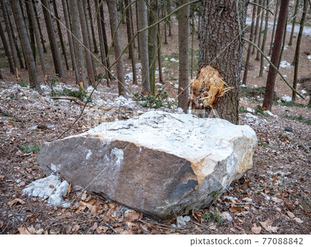 Collapsed rocky boulders fall down from sandstone rocks and landslide blocked forest path Collapsed rocky boulders fall down from sandstone rocks and landslide blocked forest path 77088842