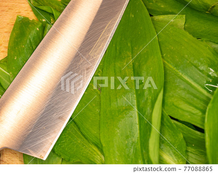 Fresh and tasty wild garlic on wooden board ready for chopping. Bio food cooking Fresh and tasty wild garlic on wooden board ready for chopping. Bio food cooking 77088865