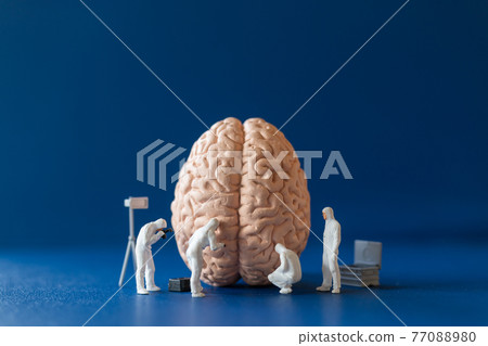 Miniature Scientist observing and discussing about human brain Miniature Scientist observing and discussing about human brain 77088980