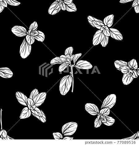 Basil Seamless Pattern. Italian herbs.A sprig of marjoram. Basil is a fragrant and fragrant seasoning. Hand-drawn illustration Basil Seamless Pattern. Italian herbs.A sprig of marjoram. Basil is a fragrant and fragrant seasoning. Hand-drawn illustration 77089516