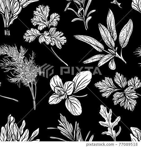 Italian herbs pattern. Mediterranean cuisine. 77089518