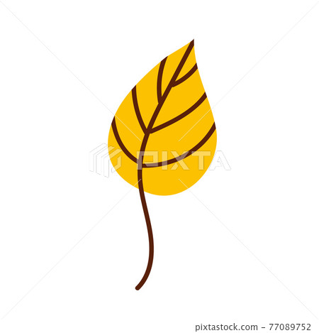 Yellow autumn leaf isolated on a white background Yellow autumn leaf isolated on a white background 77089752