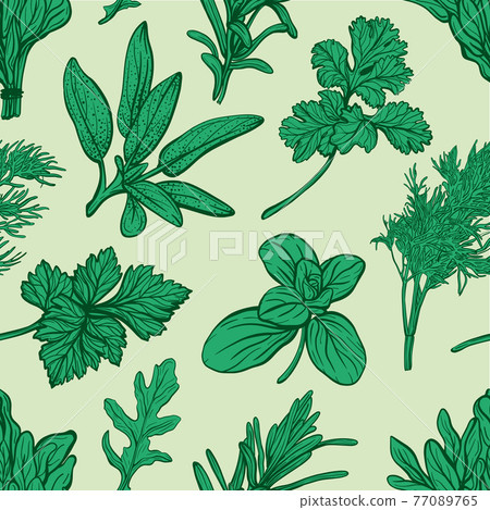 Italian herbs pattern. Provencal herbs pattern.  77089765