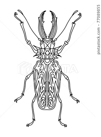 Beetle Brazilian woodcutter coloring book. Beetle Brazilian woodcutter coloring book. 77089855