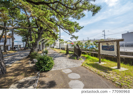 《Aichi Prefecture》 Chiryu City Tokaido pine trees 《Aichi Prefecture》 Chiryu City Tokaido pine trees 77090968