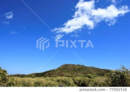 伊豆山雲 77092538