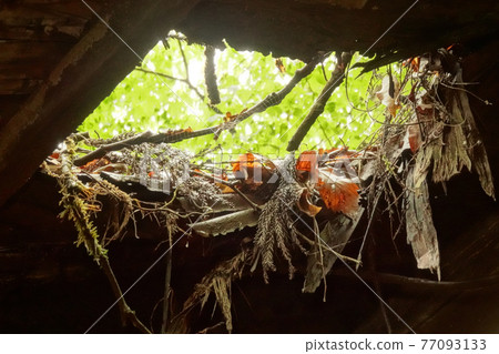 被遺棄的房屋/廢墟03 被遺棄的房屋/廢墟03 77093133