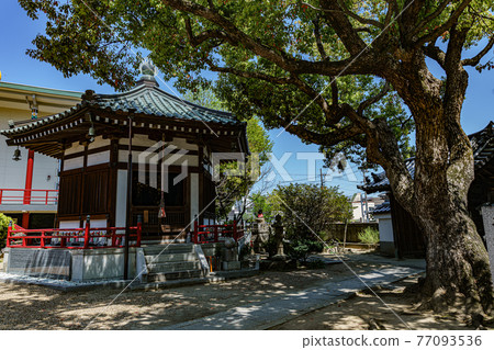 太正宗寺 太正宗寺 77093536