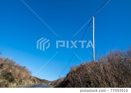 Utility Pole and lines for transmission of electricity and communication to dwellings in rural Ireland Utility Pole and lines for transmission of electricity and communication to dwellings in rural Ireland 77093918