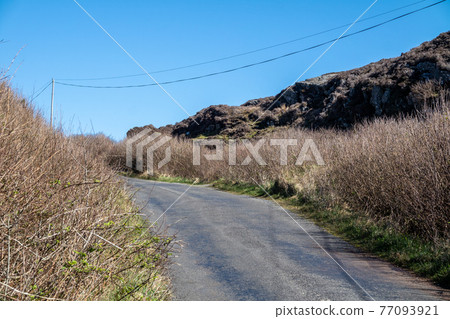 Utility Pole and lines for transmission of electricity and communication to dwellings in rural Ireland 77093921