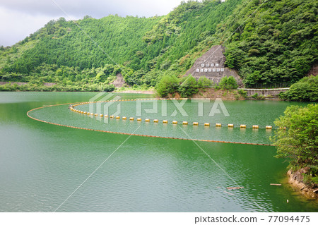 晨霧湖 晨霧湖 77094475