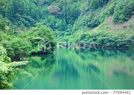 晨霧湖 晨霧湖 77094481