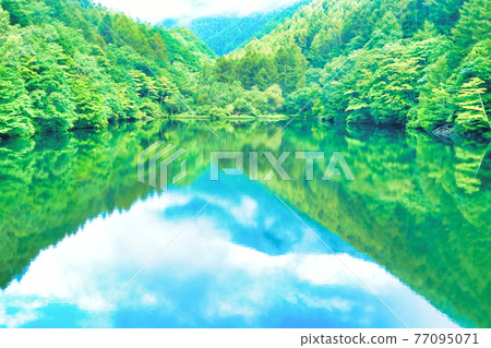 鮮綠的湖畔龍澤大壩 鮮綠的湖畔龍澤大壩 77095071