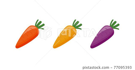 三種顏色的胡蘿蔔,漫畫卡通向量 三種顏色的胡蘿蔔,漫畫卡通向量 77095393