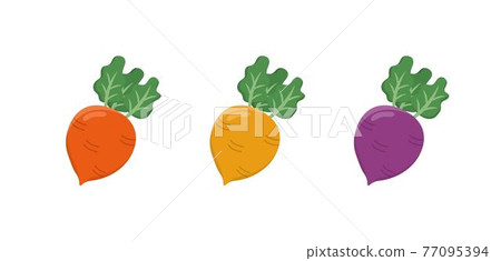 三種顏色的蘿蔔,漫畫卡通向量 三種顏色的蘿蔔,漫畫卡通向量 77095394