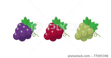 三種顏色的葡萄,漫畫卡通向量 三種顏色的葡萄,漫畫卡通向量 77095396