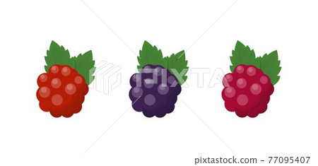 Three colors of raspberries, comic cartoon vector 77095407