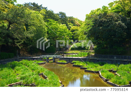 被綠樹環繞的讀谷公園 被綠樹環繞的讀谷公園 77095814