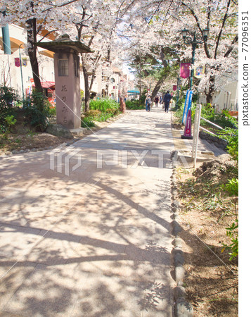 Scenery near Takarazuka Hana no Michi / Opera 77096351