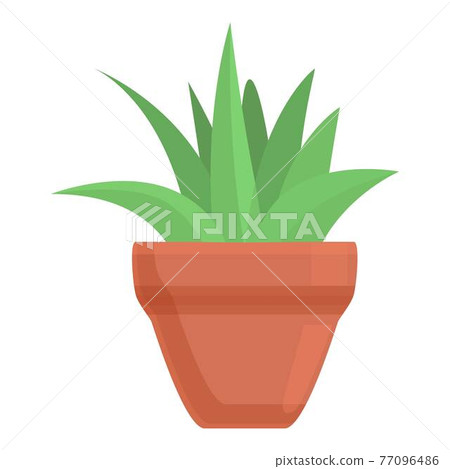 Succulent plant pot icon, cartoon style Succulent plant pot icon, cartoon style 77096486