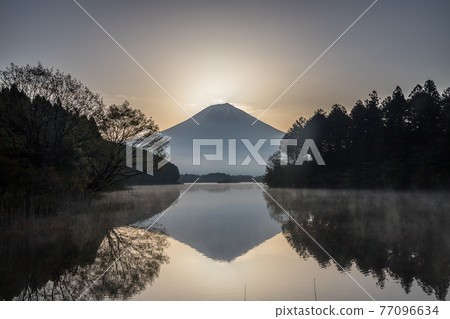 Lake Tanuki Spring Diamond Fuji 77096634