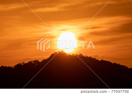 Sunrise Sunrise 77097798