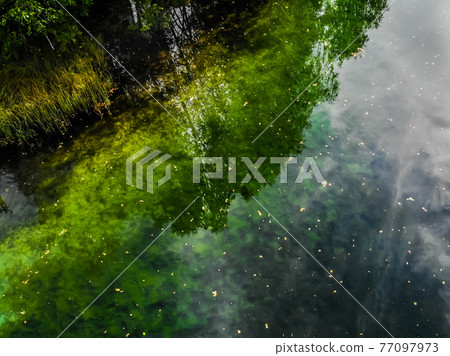 Aerial view of mystically turquoise coloured spring Kiikunlahde in Hollola, Finland 77097973