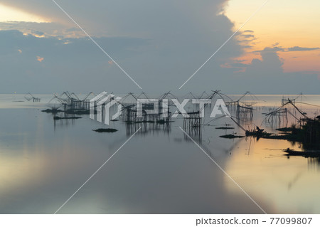 Local fishing trap net in canel, lake or river at sunset. Nature landscape fisheries and fishing tools lifestyle at Pak Pha, Phattalung, Thailand. Aquaculture farming. Local fishing trap net in canel, lake or river at sunset. Nature landscape fisheries and fishing tools lifestyle at Pak Pha, Phattalung, Thailand. Aquaculture farming. 77099807
