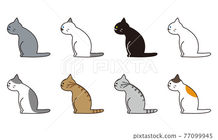 Full-body set of various cat breeds seen from the side 77099945