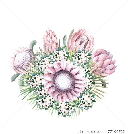 Bouquet with protea flowers, tropical leaves, palm leaves, bouvardia flowers. Wedding bouquet for the design of a stylish invitation. Watercolour illustration Bouquet with protea flowers, tropical leaves, palm leaves, bouvardia flowers. Wedding bouquet for the design of a stylish invitation. Watercolour illustration 77100722