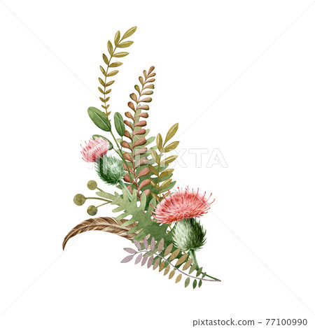 Floral autumn natural arrangement. Watercolor illustration. Woodland element. Hand drawn rustic forest decor from fern, thistle flowers, green leaves. Seasonal decoration on white background 77100990