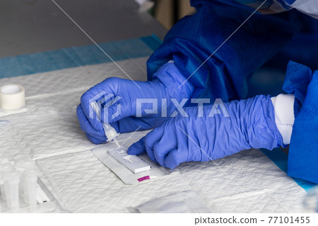 Series of healthcare worker preparing to test covid-19 swab culture on rapid test kit Series of healthcare worker preparing to test covid-19 swab culture on rapid test kit 77101455