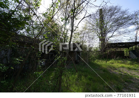 廢墟、廢棄工廠、工廠廢墟、廢棄工廠 77101931