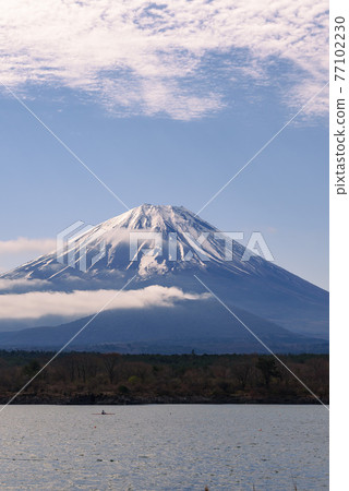 (Yamanashi Prefecture) Early morning child hugging Fuji and sea of clouds, Lake Shoji (Yamanashi Prefecture) Early morning child hugging Fuji and sea of clouds, Lake Shoji 77102230