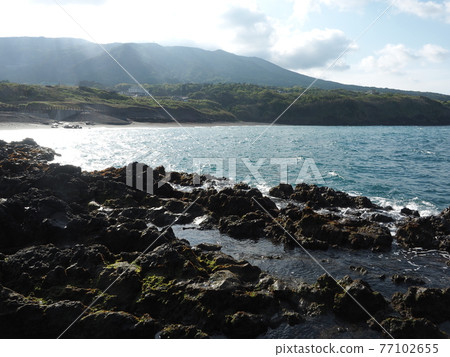 Kobohama in Motomachi, Izu Oshima in the morning 77102655