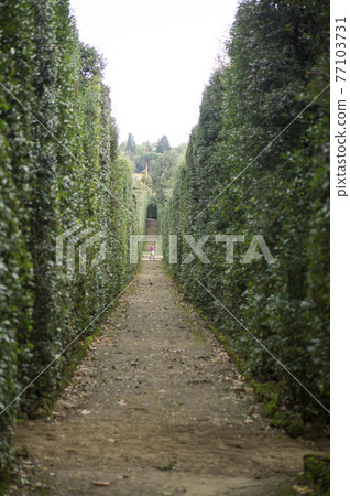 Italy Deep road 77103731