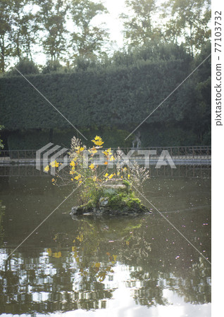 Italian pond stone 77103732