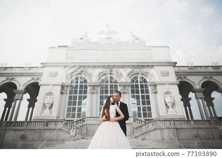 Luxury married wedding couple, bride and groom posing in luxury city Luxury married wedding couple, bride and groom posing in luxury city 77103890