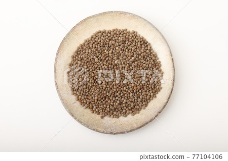 Perilla(紫蘇)黑色 77104106