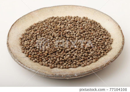 Perilla(紫蘇)黑色 Perilla(紫蘇)黑色 77104108