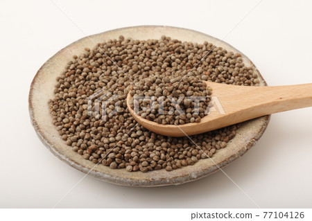 Perilla(紫蘇)黑色 77104126