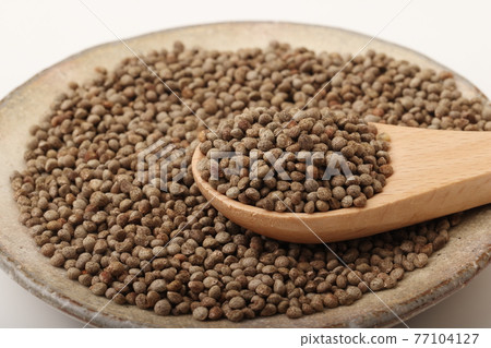 Perilla(紫蘇)黑色 77104127