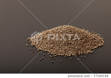 Perilla(紫蘇)黑色 77104149