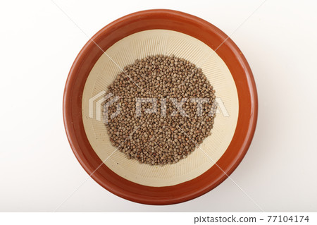 Perilla (perilla) black 77104174