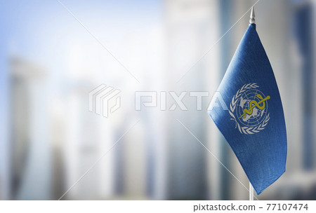 Patch of the national flag of the World Health Organization WHO on a white t-shirt 77107474