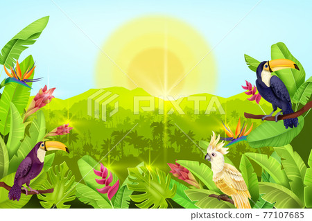 Jungle vector forest landscape, exotic tropical background, palm tree silhouette toucan, parrot, sun 77107685