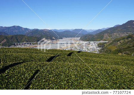 Shizuoka City Tea plantation and the bridge between the Abe River and the Shin Tomei Expressway over there 77107724